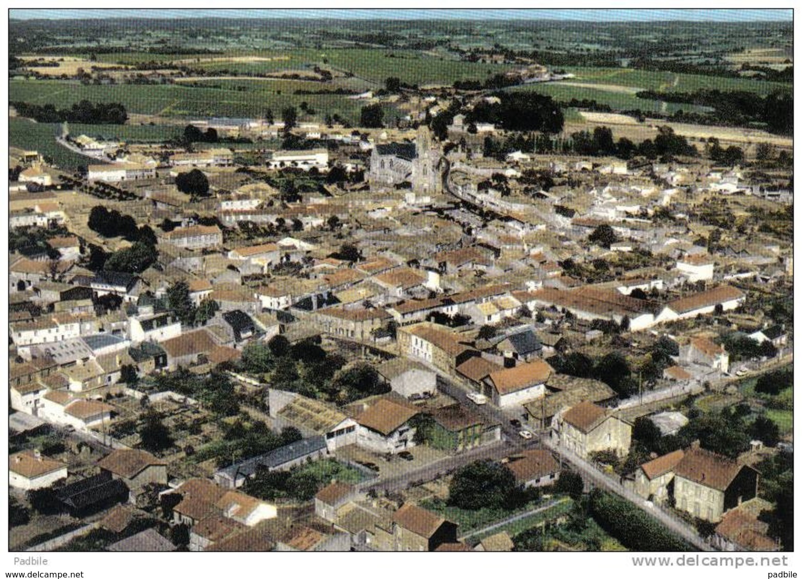 Carte Postale 44.  Vallet Le Bourg Vue D'avion Trés Beau Plan - Other & Unclassified