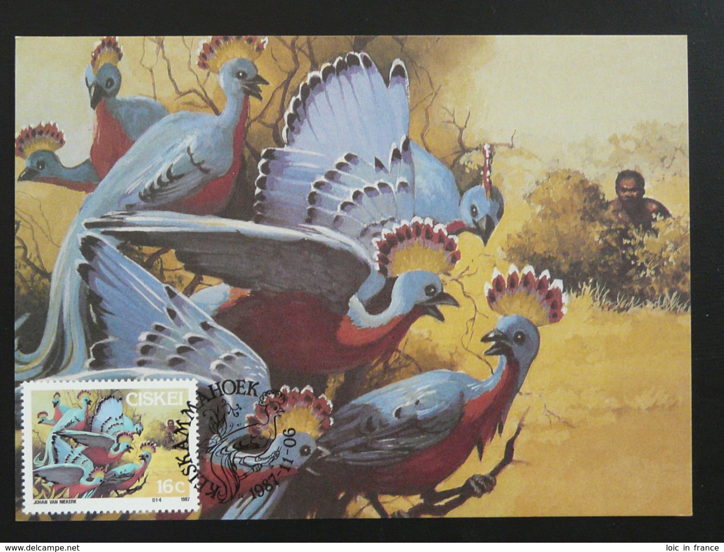 Carte Maximum Card Paon Peacock (ref 86160) - Pavoni