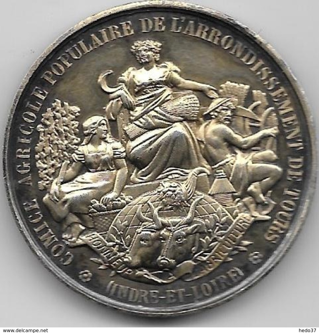 Médaille Argent - Comice Agricole Populaire De Tours - Indre Et Loire - Altri & Non Classificati