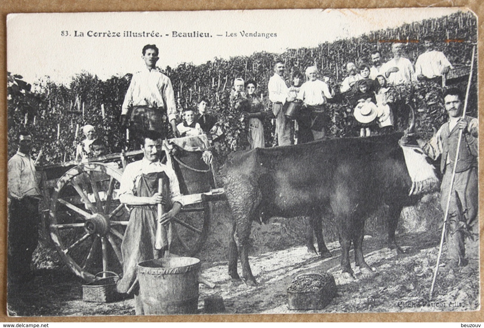 CP La Corrèze Illustrée. BEAULIEU Les Vendanges - Otros & Sin Clasificación