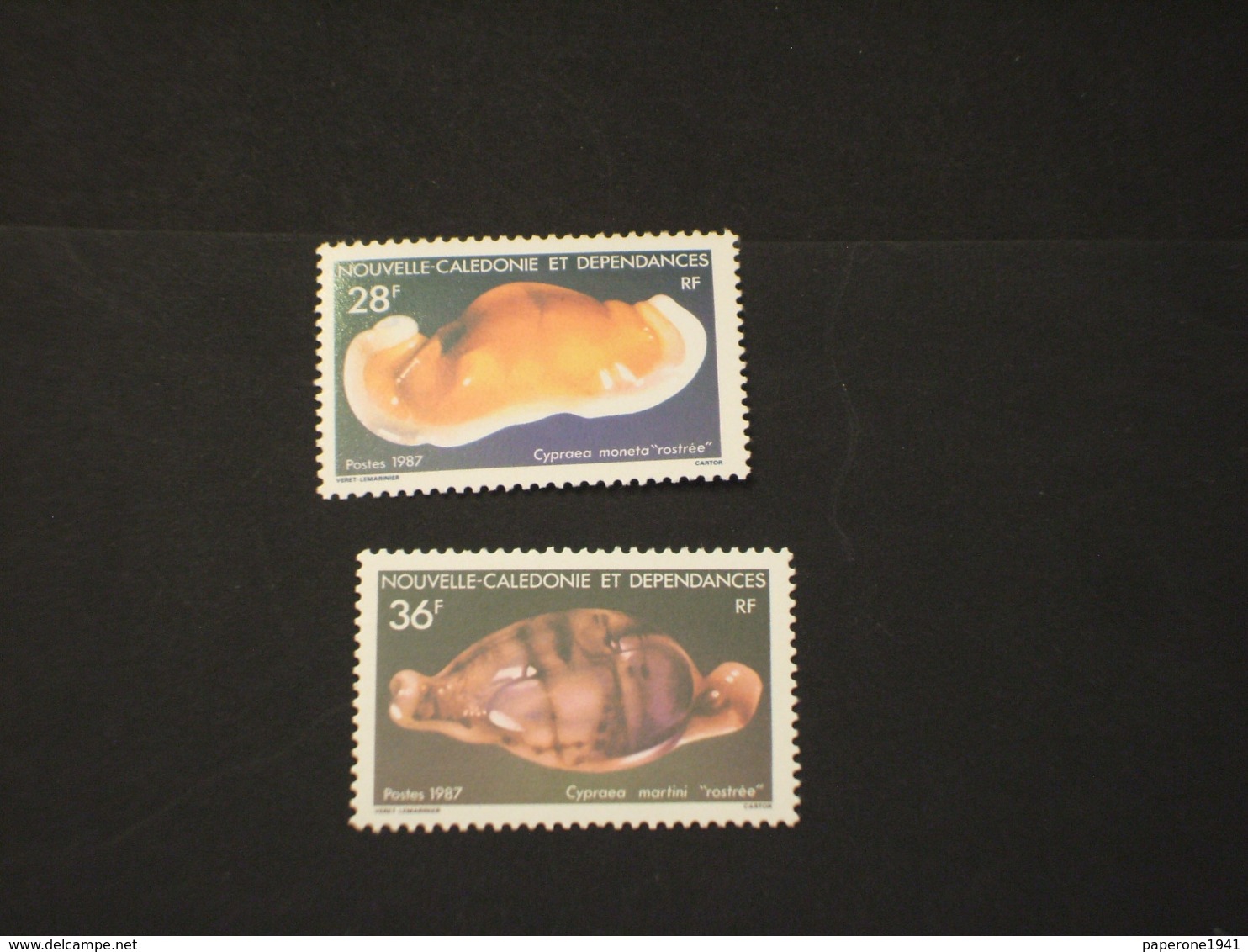 NOUVELLE CALEDONIE - 1987 CONCHIGLIE 2 VALORI -  NUOVI(++) - Neufs