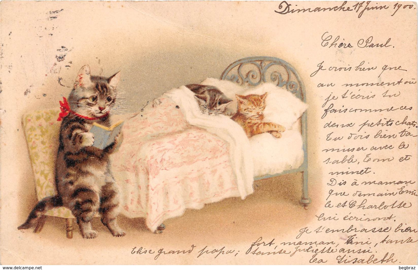 CHAT HUMANISE    CARTE PIONNIERE 1900 - Chats