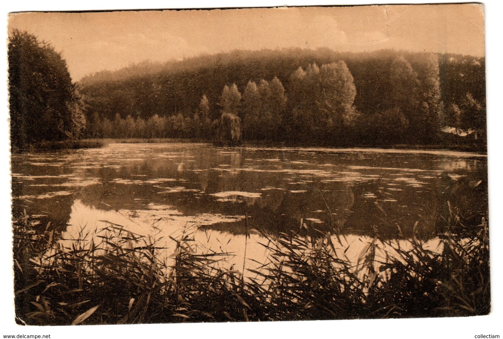 AUDERGHEM - Etang De Rouge-Cloître - Auderghem - Oudergem