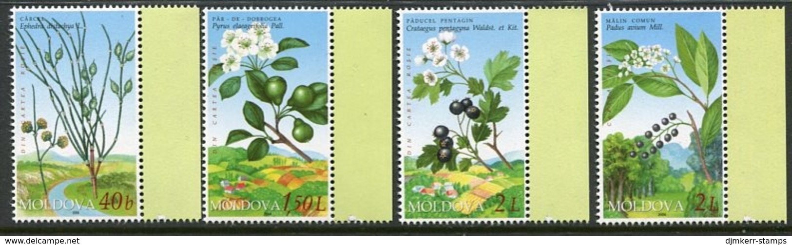 MOLDOVA 2004 Endangered Plants MNH / **.  Michel 501-04 - Moldavië