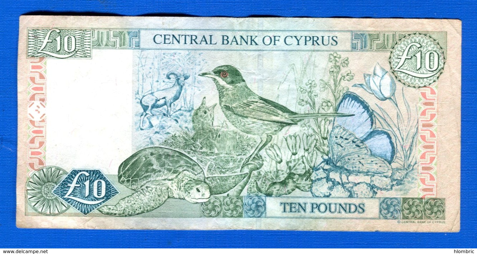 Chypre  10  Pounds  1998 - Cyprus
