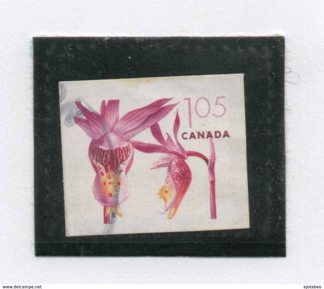 38 Canadá 2005 Yvert 2197a Sin Dentar,Usado TT: Flores - Used Stamps