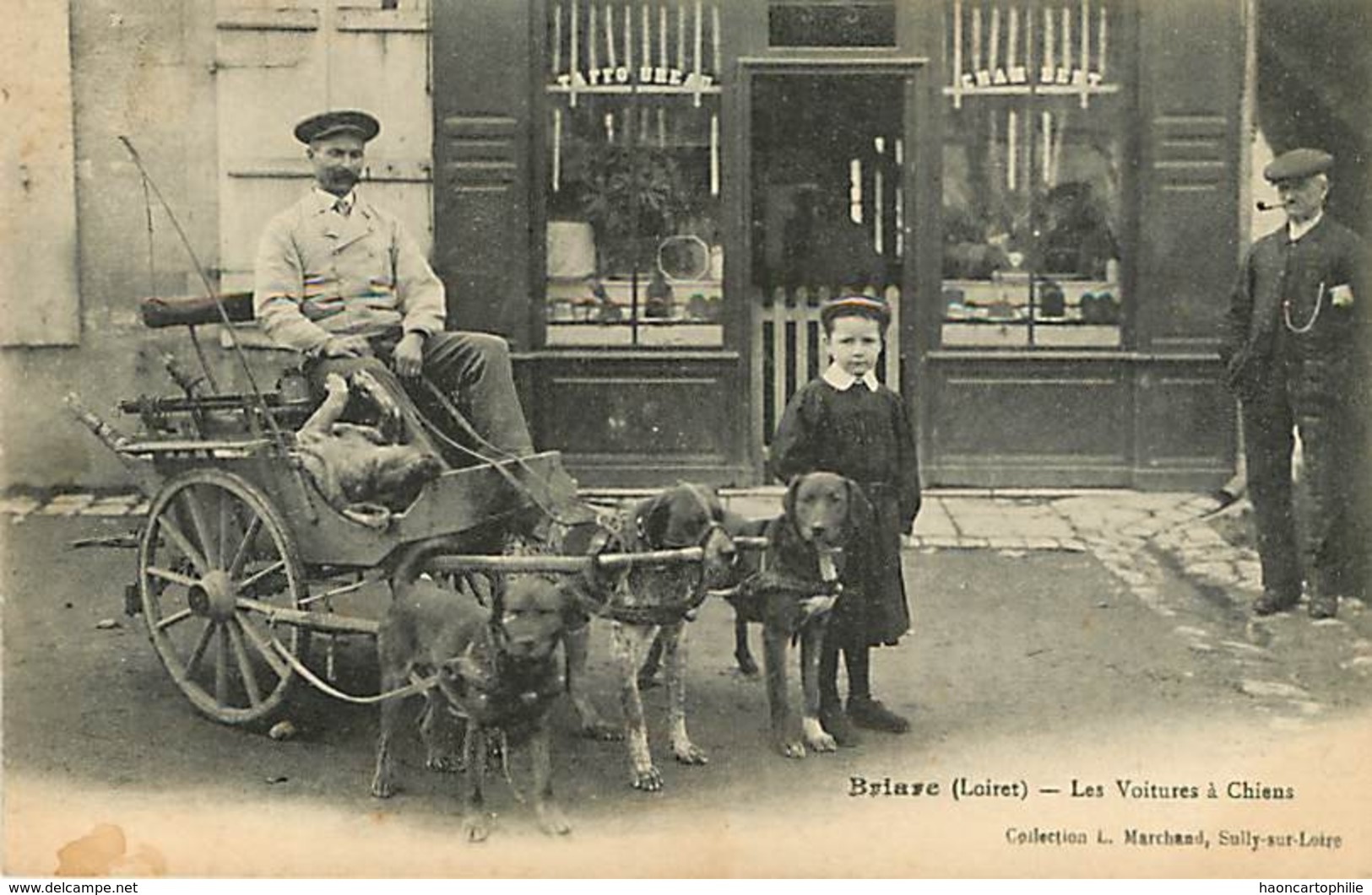 45 Briare Voiture Attelage à Chiens - Briare