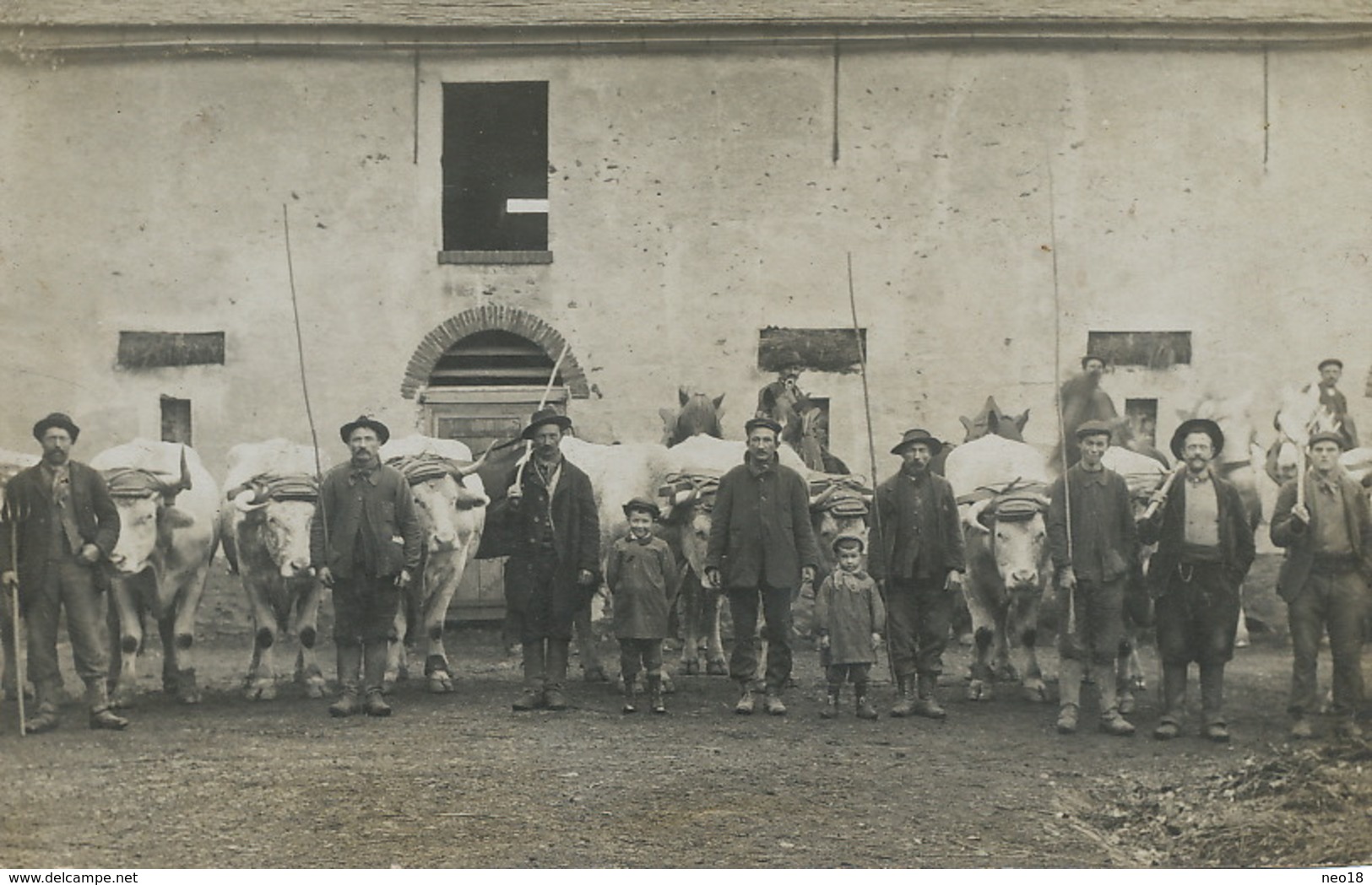 Carte Photo Brie Comte Robert  Ferme Attelage Boeufs Vers Champeaux 77 - Brie Comte Robert