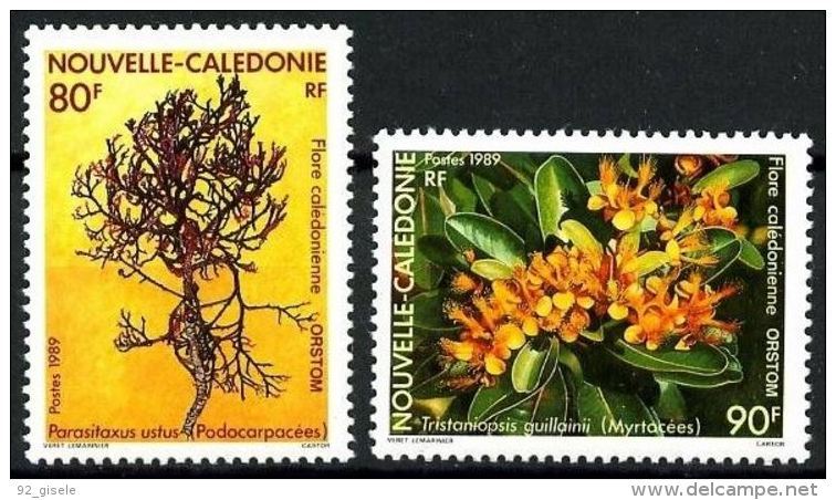 Nle-Caledonie YT 574 & 575 " Flore " 1989 Neuf** - Unused Stamps