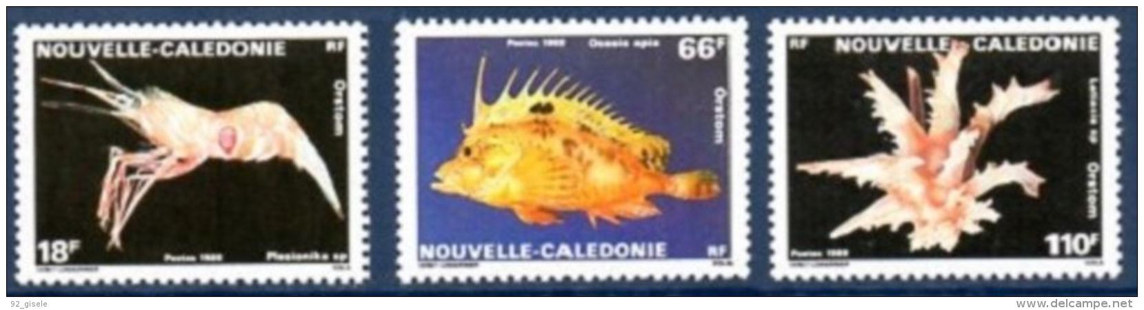 Nle-Caledonie YT 576 à 578 " Faune Marine " 1989 Neuf** - Unused Stamps