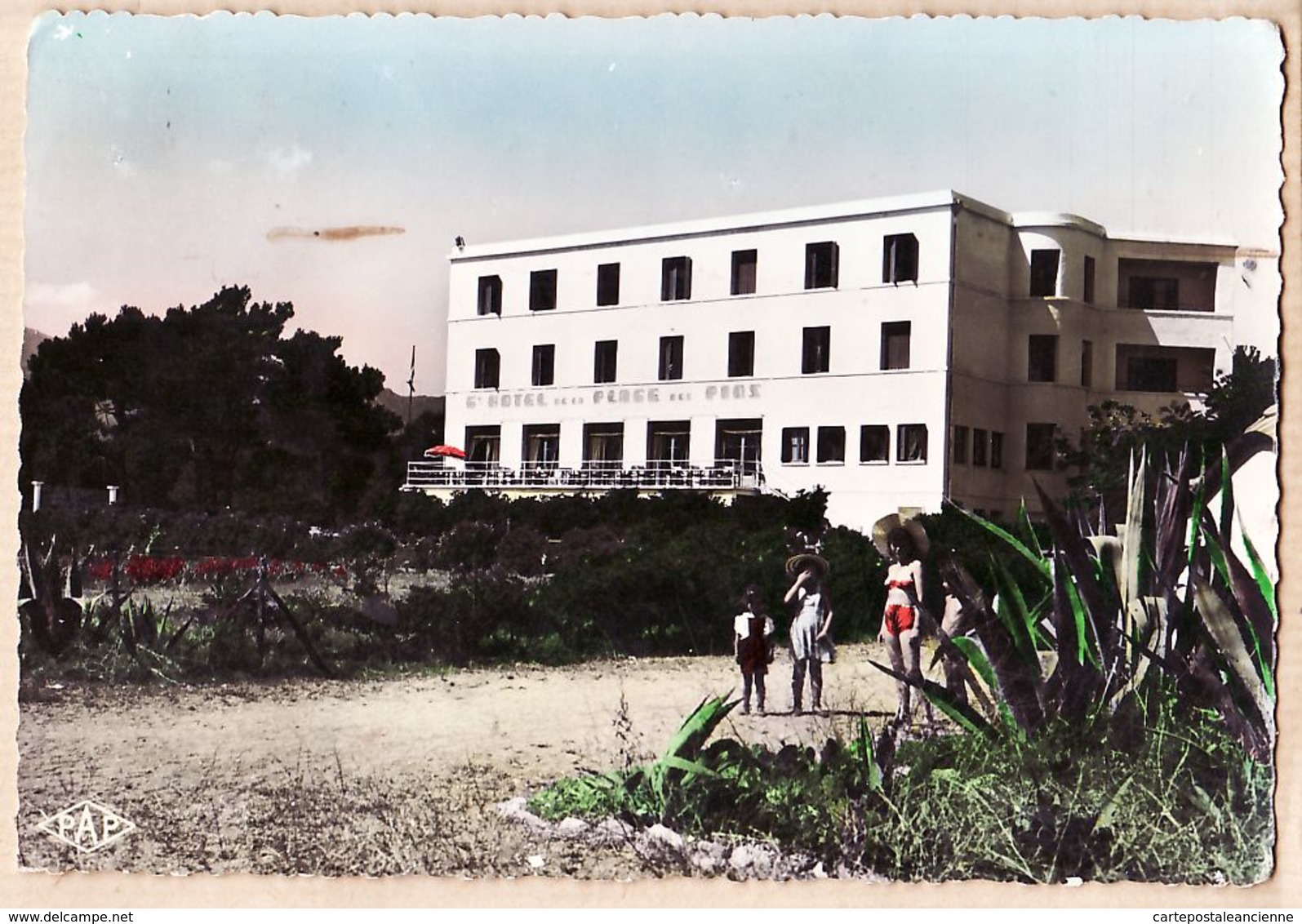 X66030 ARGELES PLAGE GRAND HOTEL Des PINS 1950s Véritable Photo Bromure PAGES N°34 - Argeles Sur Mer