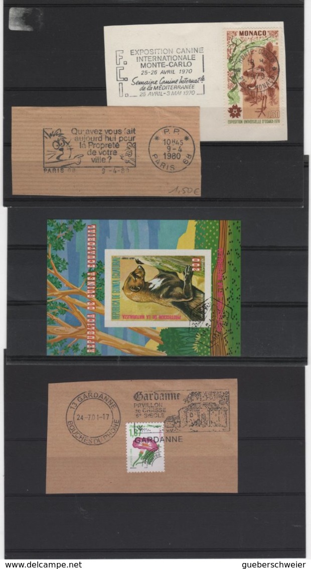 Carton de 2,5 kg de Timbres, lettres, entiers postaux, aérogrammes, beau lot de timbres de France et thèmes neufs**/* o