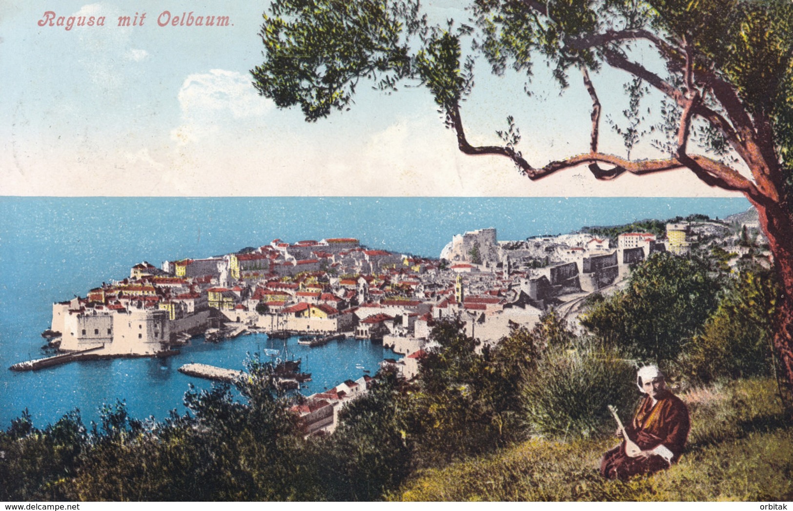 Dubrovnik (Ragusa) * Festung, Stadt, Strand, Oelbaum, Gesamtansicht * Kroatien * AK1105 - Kroatien