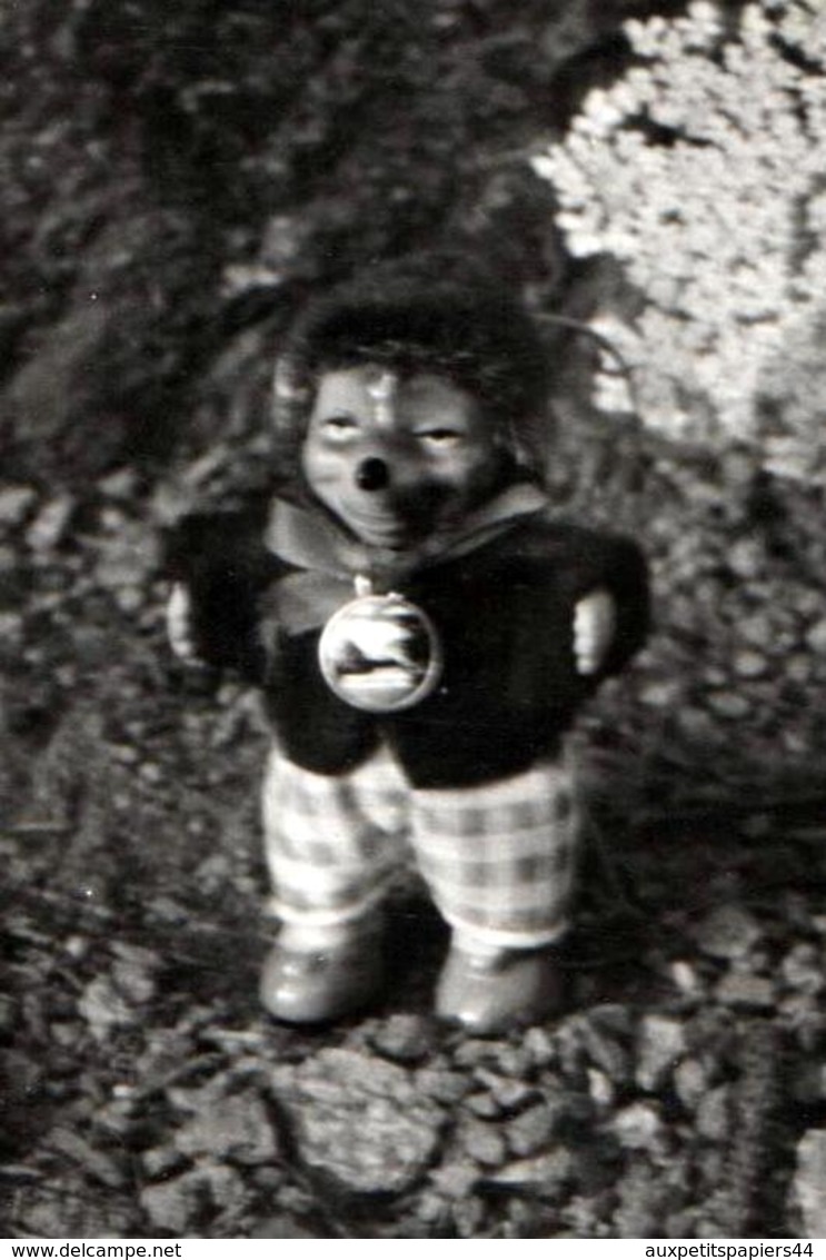 Photo Originale Portrait De Mecki,  Mascotte Du magazine Hörzu Se Promenant Au Jardin Vers 1960 - Automobiles