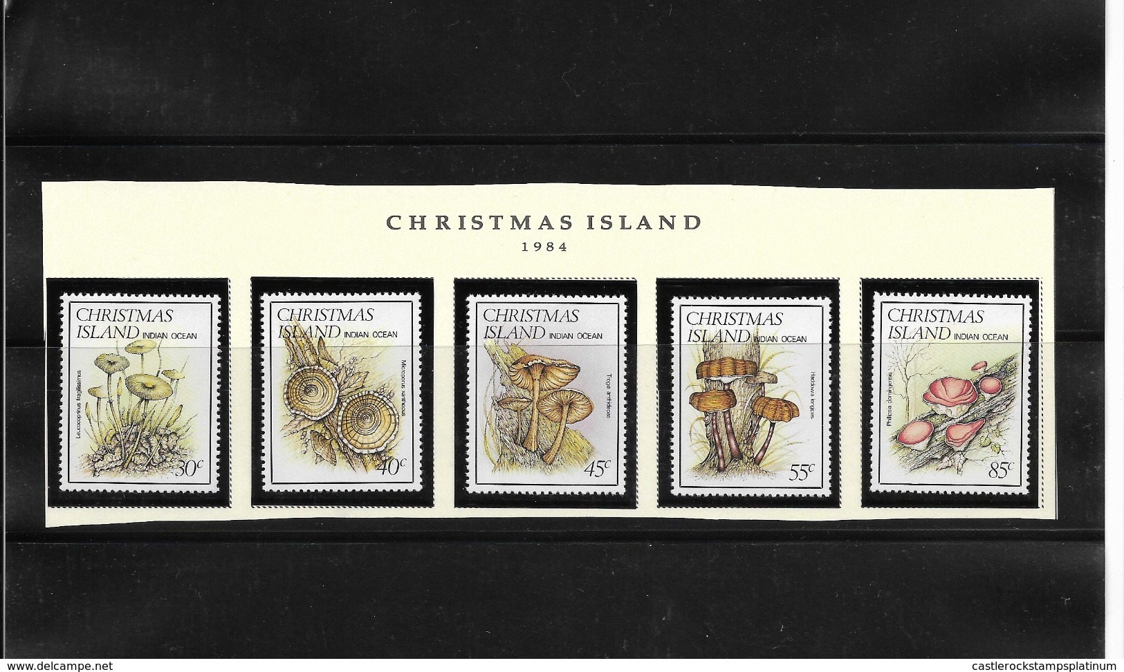 O) 1984 CHRISTMAS ISLAND, FUNGI  EUCARIOTAS- MUSHROOMS -  LEUCOCOPRINUS - MICROPORUS - TROGIA - HADDOWIA - PHILLIPSIA - - Christmas Island