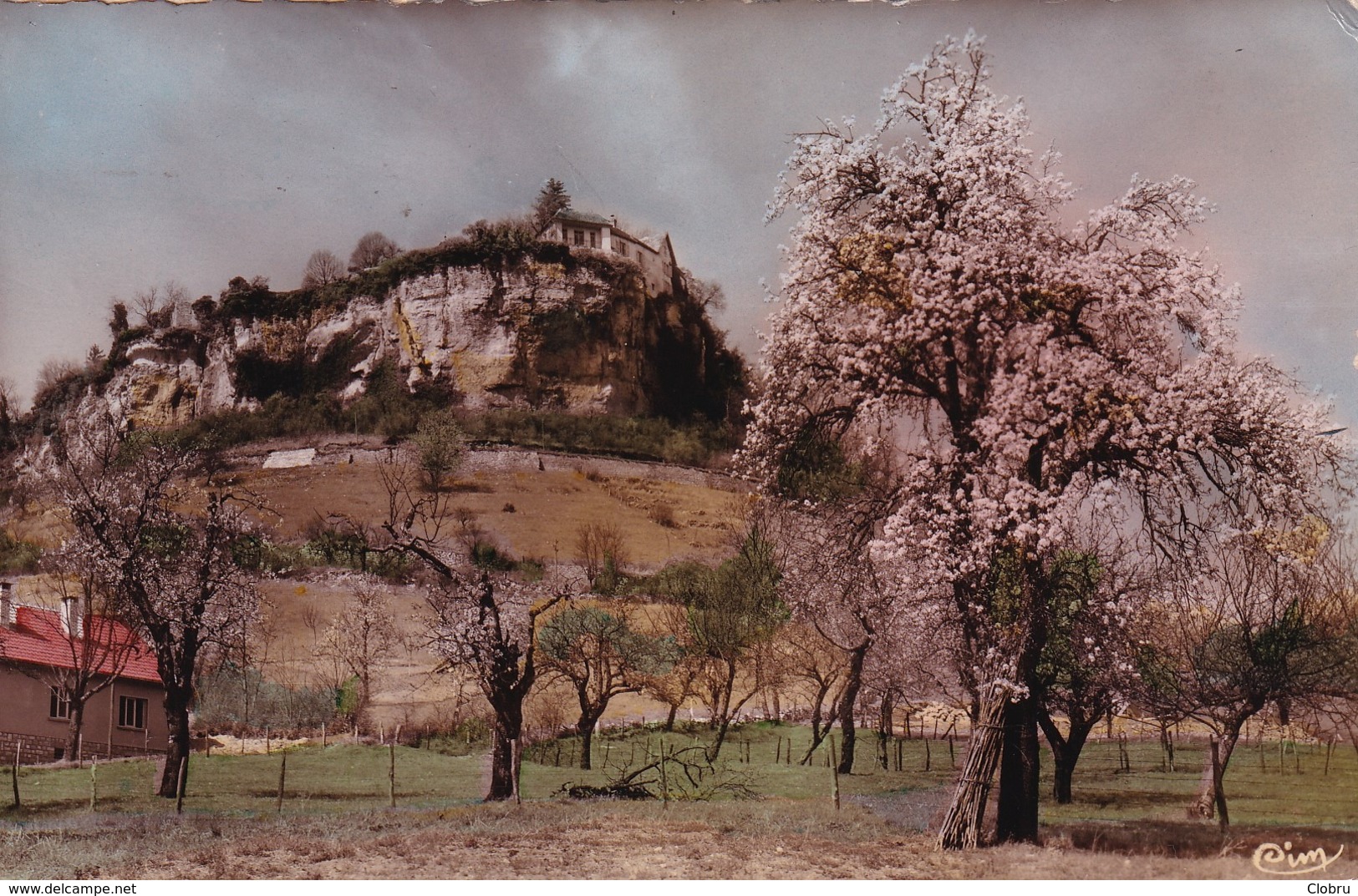 25 Ornans, Cerisiers En Fleurs, Le Château - Other & Unclassified