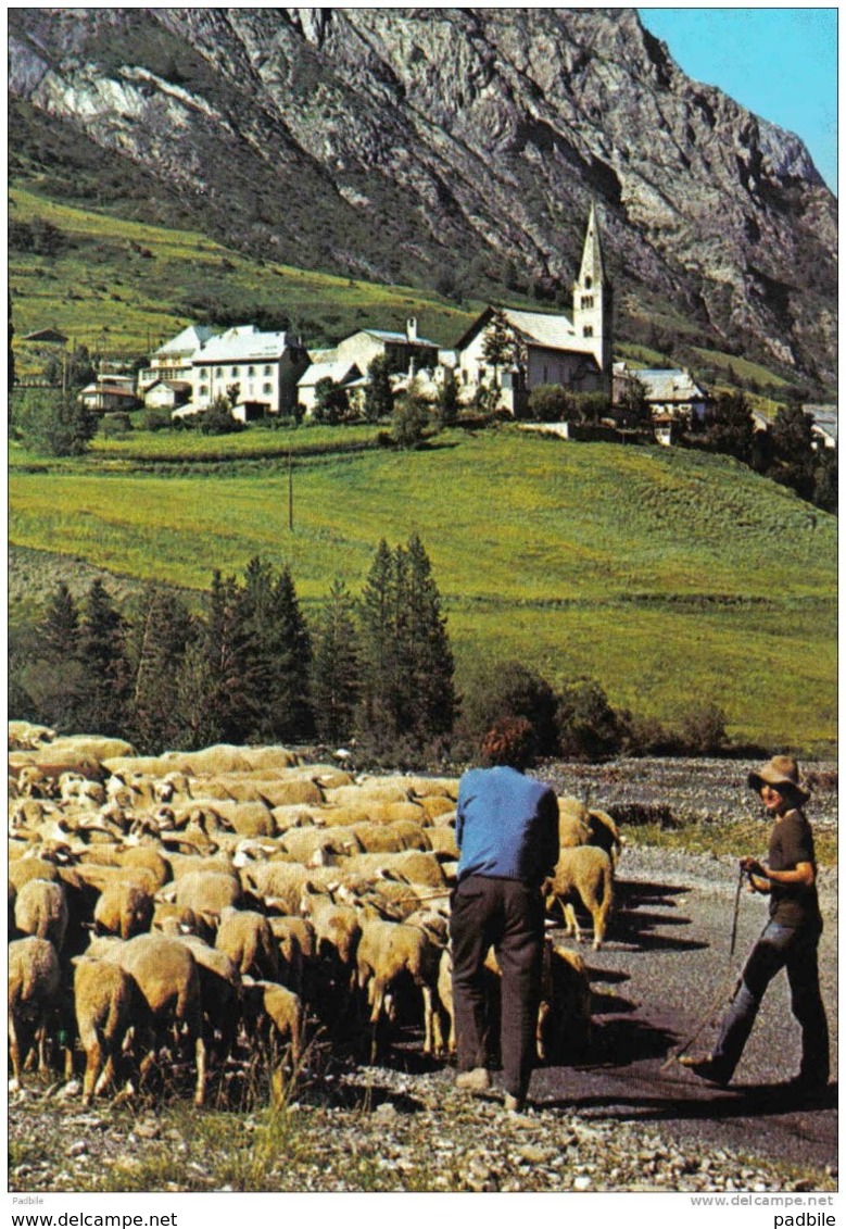 Carte Postale 04. Saint-Paul-sur-Ubaye  Berger Et Ses Moutons Trés Beau Plan - Autres & Non Classés