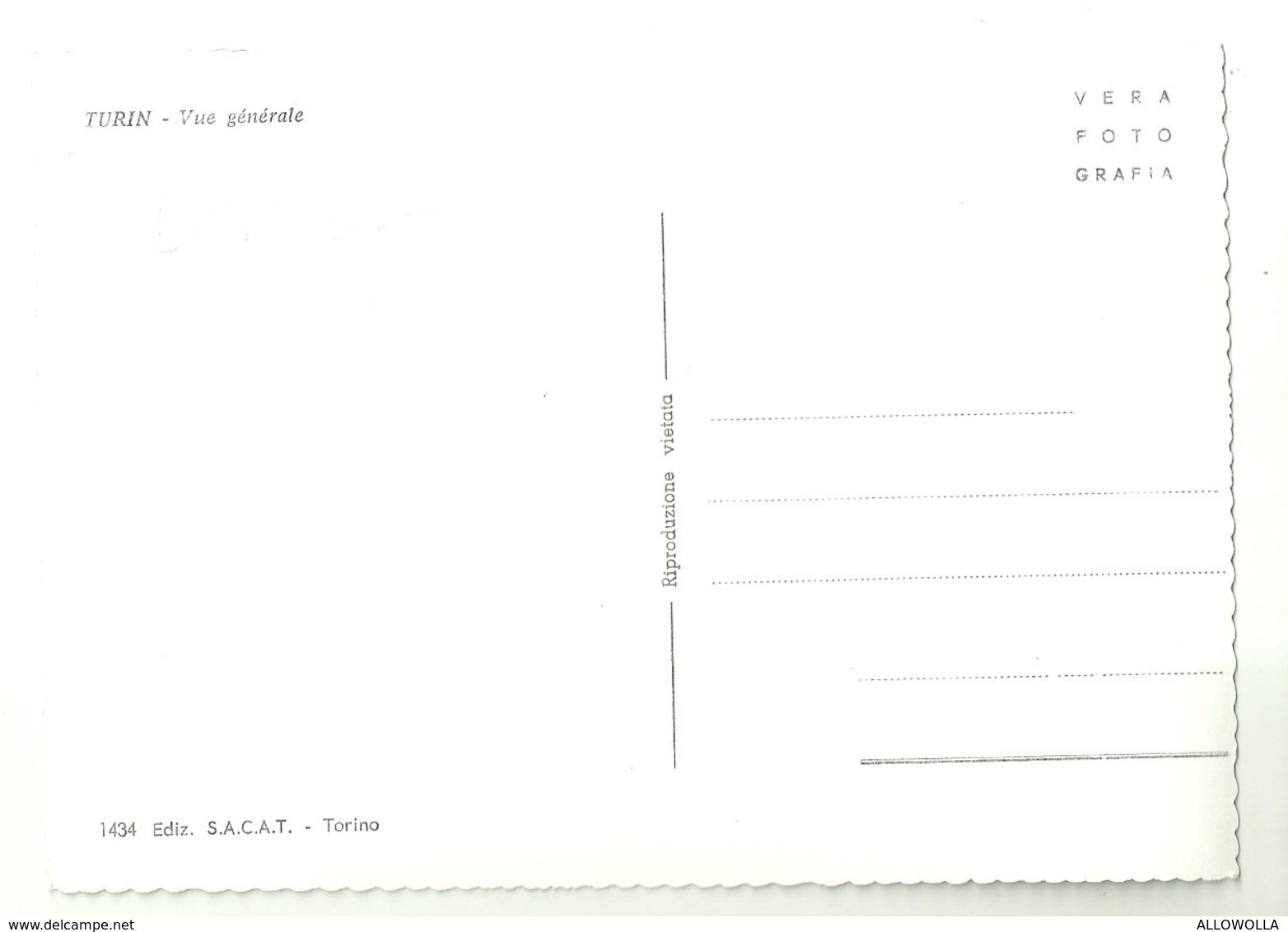 5570 "TORINO-PANORAMA"- CART. POS.  NON SPED. - Multi-vues, Vues Panoramiques