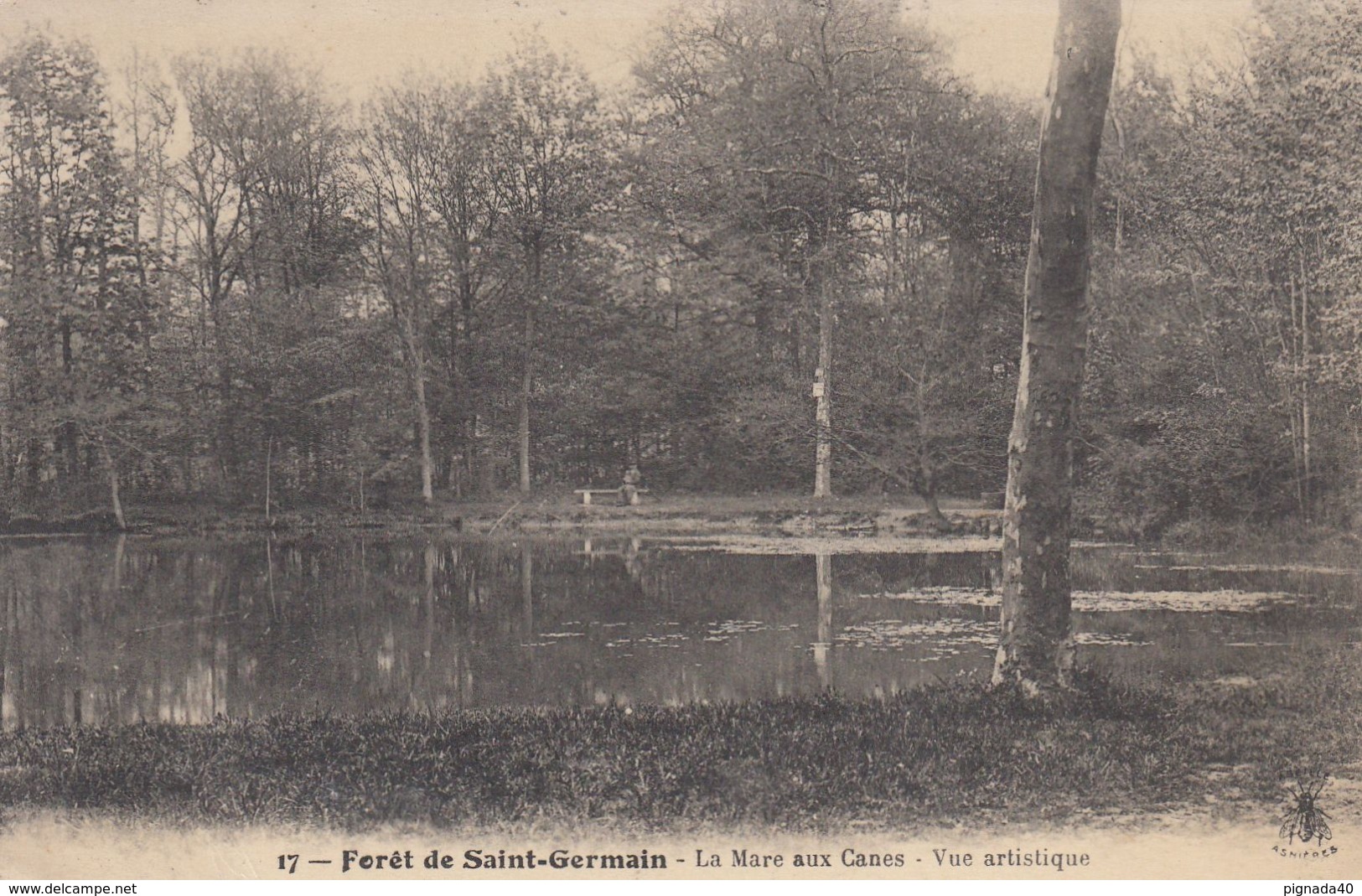 Cp , 78 , SAINT-GERMAIN-en-LAYE , La Forêt , La Mare Aux Canes , Vue Artistique - St. Germain En Laye