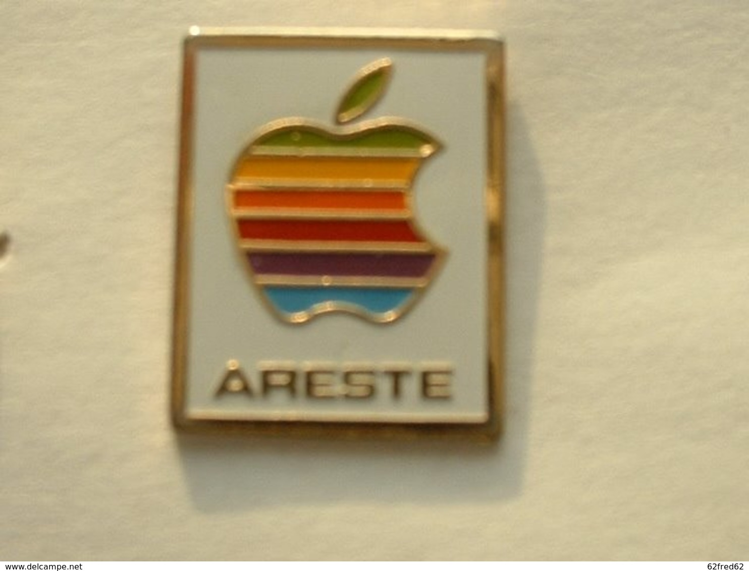 PIN'S APPLE - ARESTE - Informatique