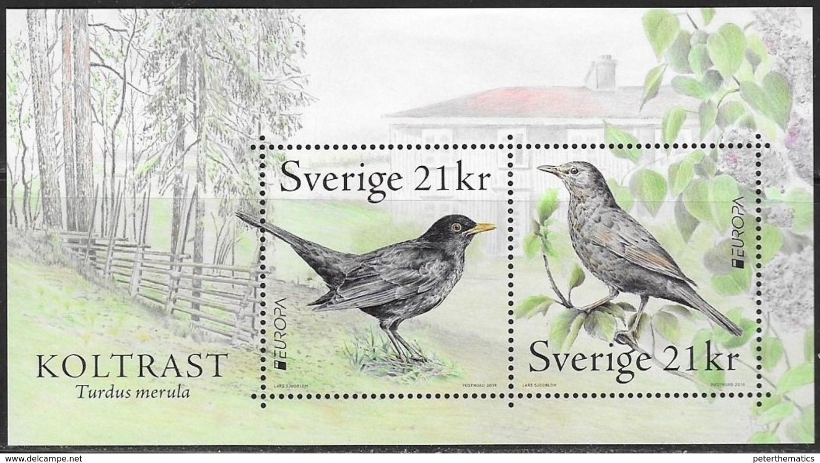 SWEDEN, 2019, MNH, BIRDS, EUROPA 2019,   SHEETLET OF 2v - 2019