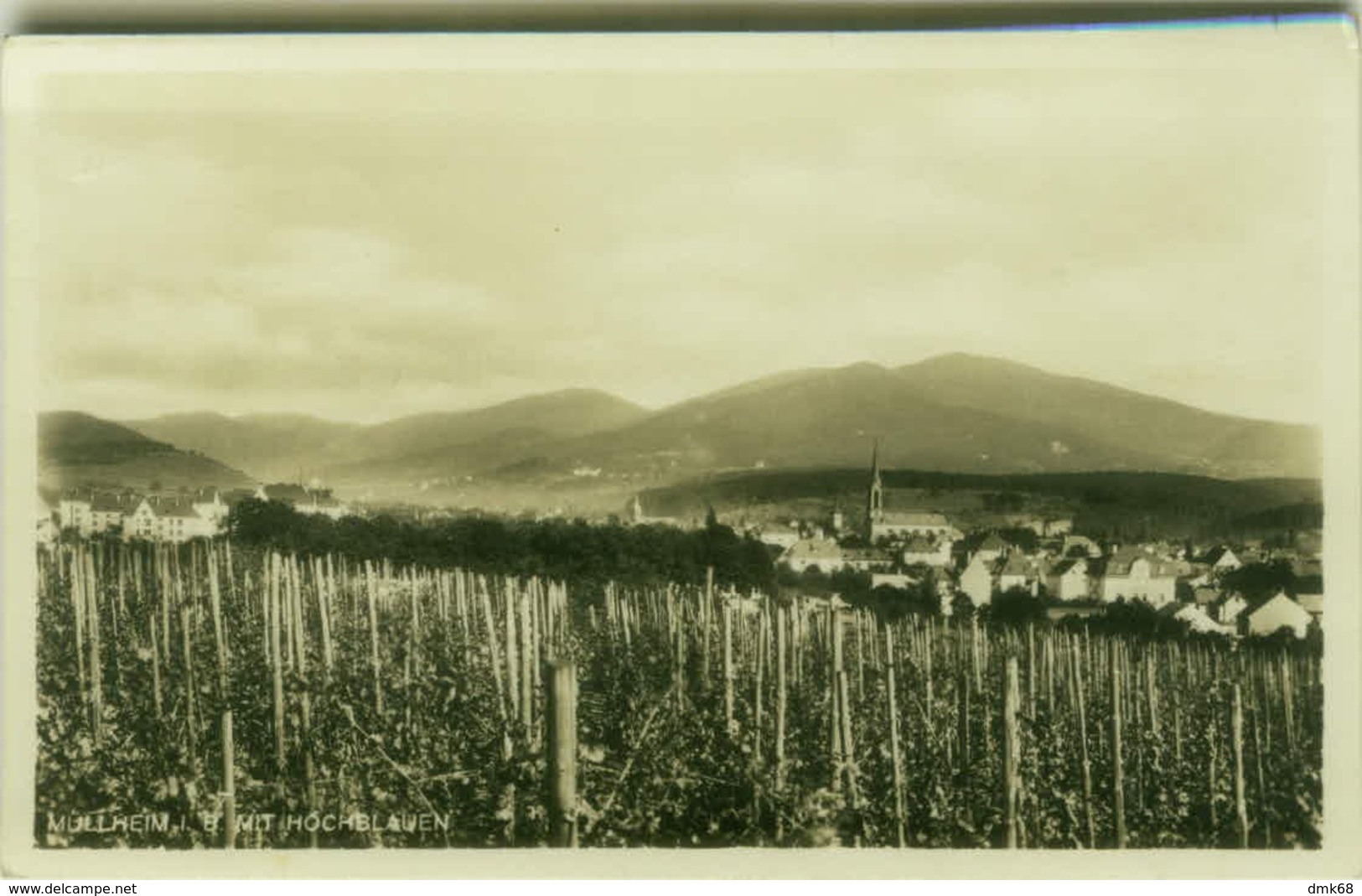 AK GERMANY - MÜLLHEIM I. B. MIT HOCHBLAUEN - EDIT PAUL HERMANN - 1940s  (BG4644) - Müllheim