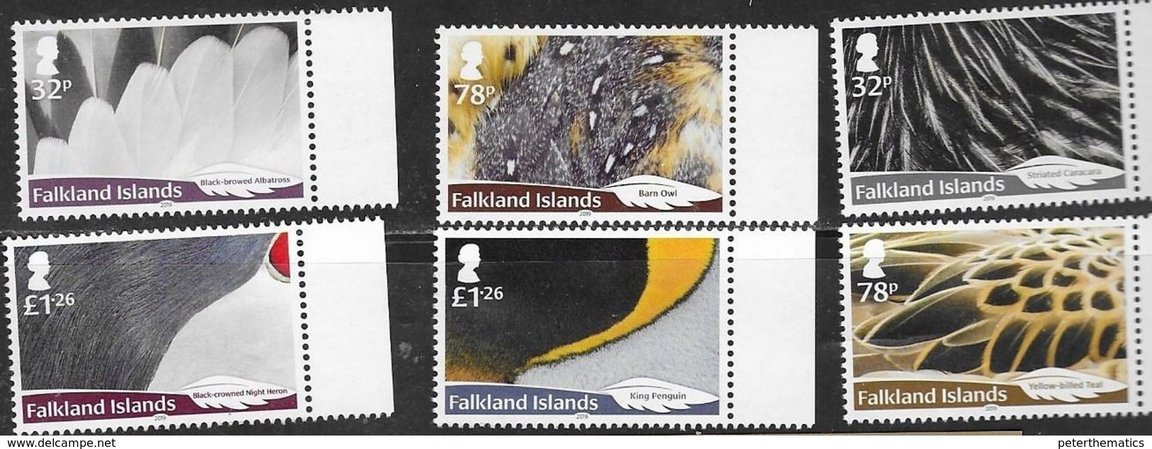 FALKLAND ISLANDS, 2019, MNH,  BIRDS, FEATHERS, 6v - Other & Unclassified