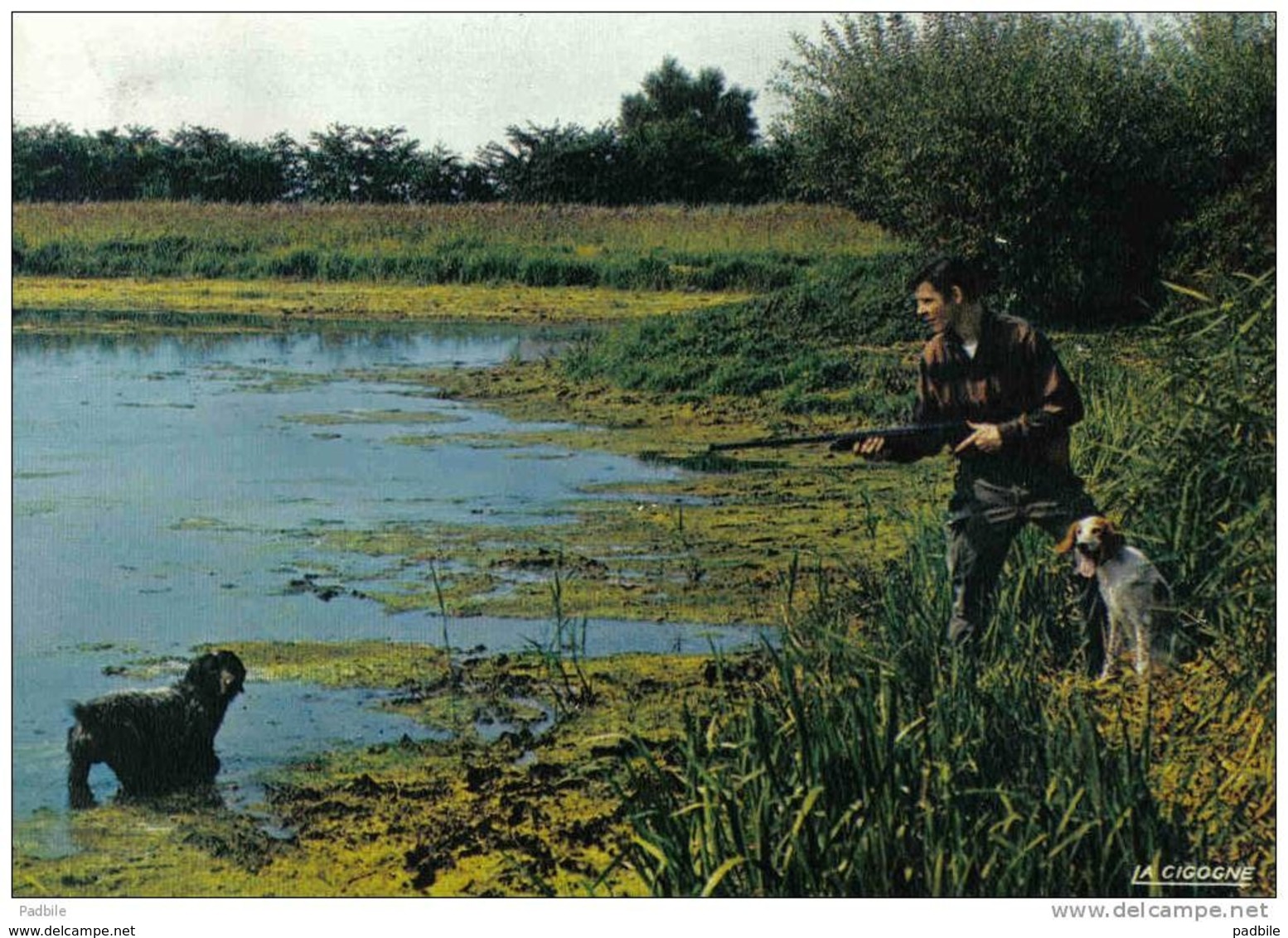 Carte Postale Chasse  Chasseur Et Ses Chiens Trés Beau Plan - Caza