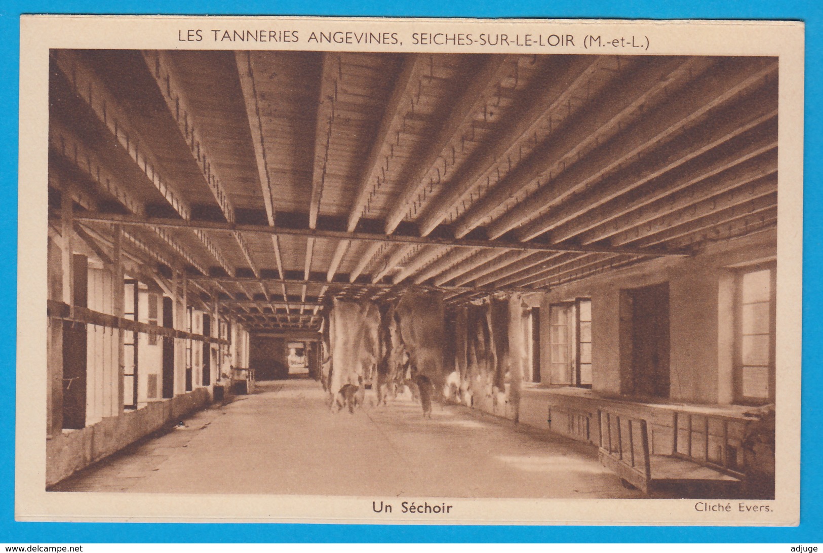 CPA-49-Seiches-sur-le-Loir-TANNERIES ANGEVINES -Un SÉCHOIR * TOP* 2 SCANS - Seiches Sur Le Loir