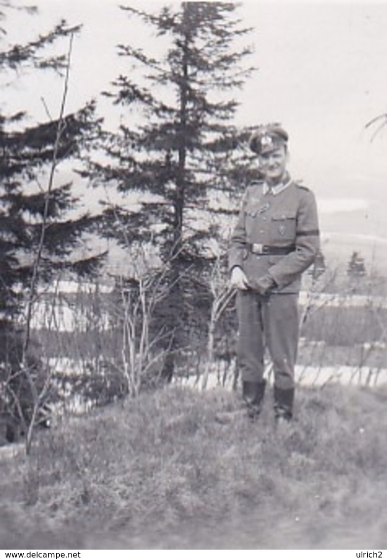 Foto Deutscher Soldat Im Wald - Abzeichen -  2. WK - 5,5*4cm (44181) - Krieg, Militär