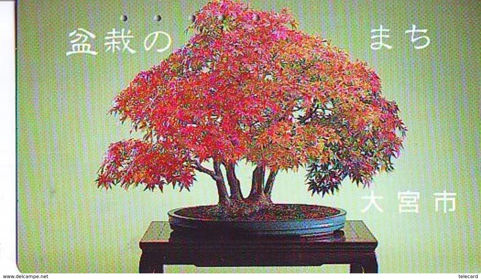 Télécarte  * Arbre Nain * BONSAI ( 320)  Dwarf Tree Japan Phonecard * Telefonkarte Baum - Fleurs