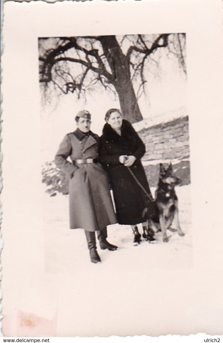 Foto Deutscher Soldat Mit Frau Und Schäferhund Im Winter -  2. WK - 6*4cm (44186) - Krieg, Militär