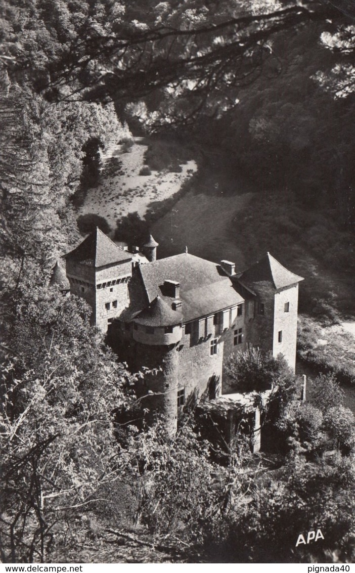 Cp , 48 , LES GORGES DU TARN , Le Château De La Caze (XVe S.) - Gorges Du Tarn