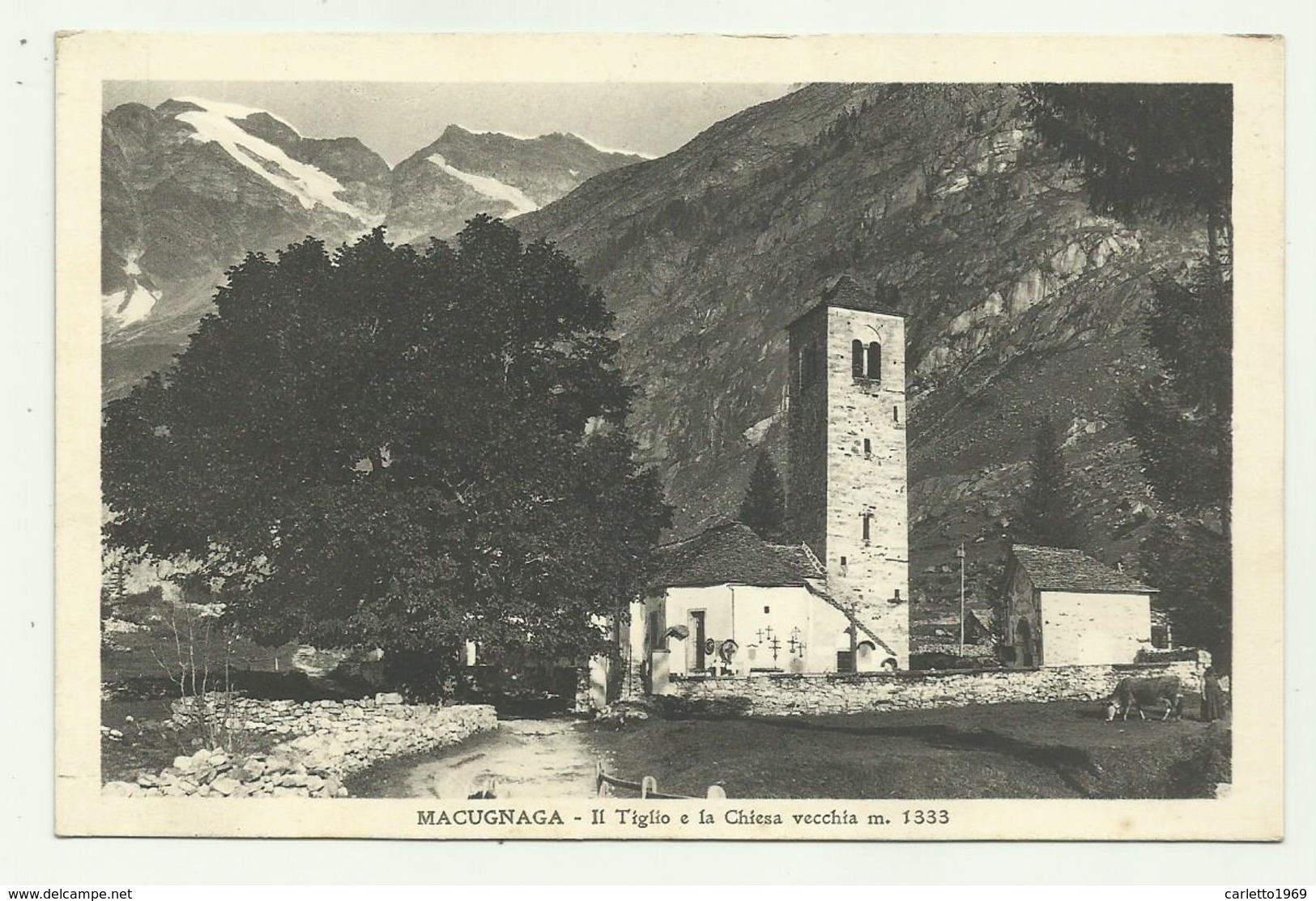 MACUGNAGA - IL TIGLIO E LA CHIESA VECCHIA - NV  FP ( ED. DE GIORGI ) - Verbania