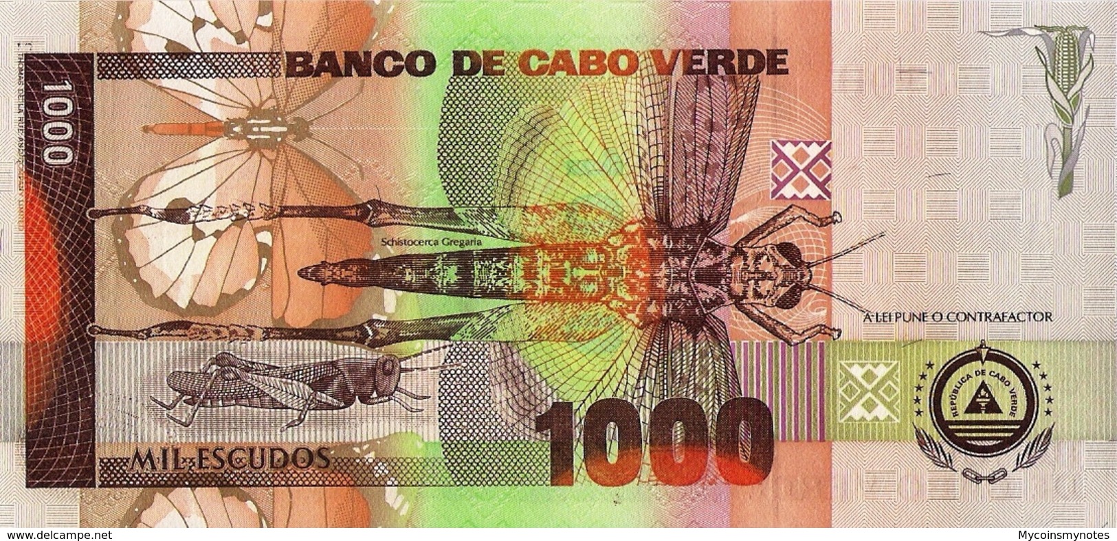 CAPE VERDE 1000 Escudos From 2002, P65, UNC - Cap Verde