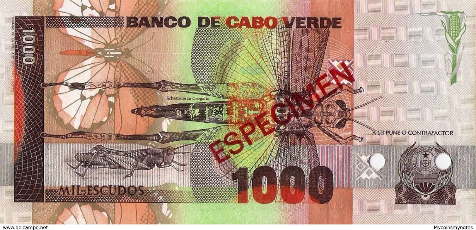 CAPE VERDE 1000 "SPECIMEN" Escudos From 1989, P60s, UNC - Specimen