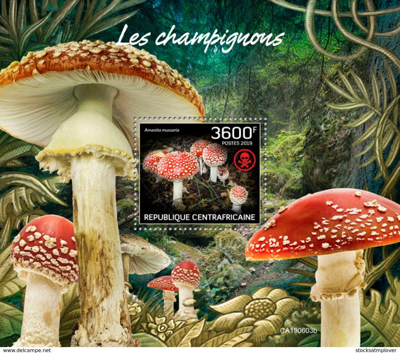 Central Africa  2019 Mushrooms  S201909 - Centrafricaine (République)