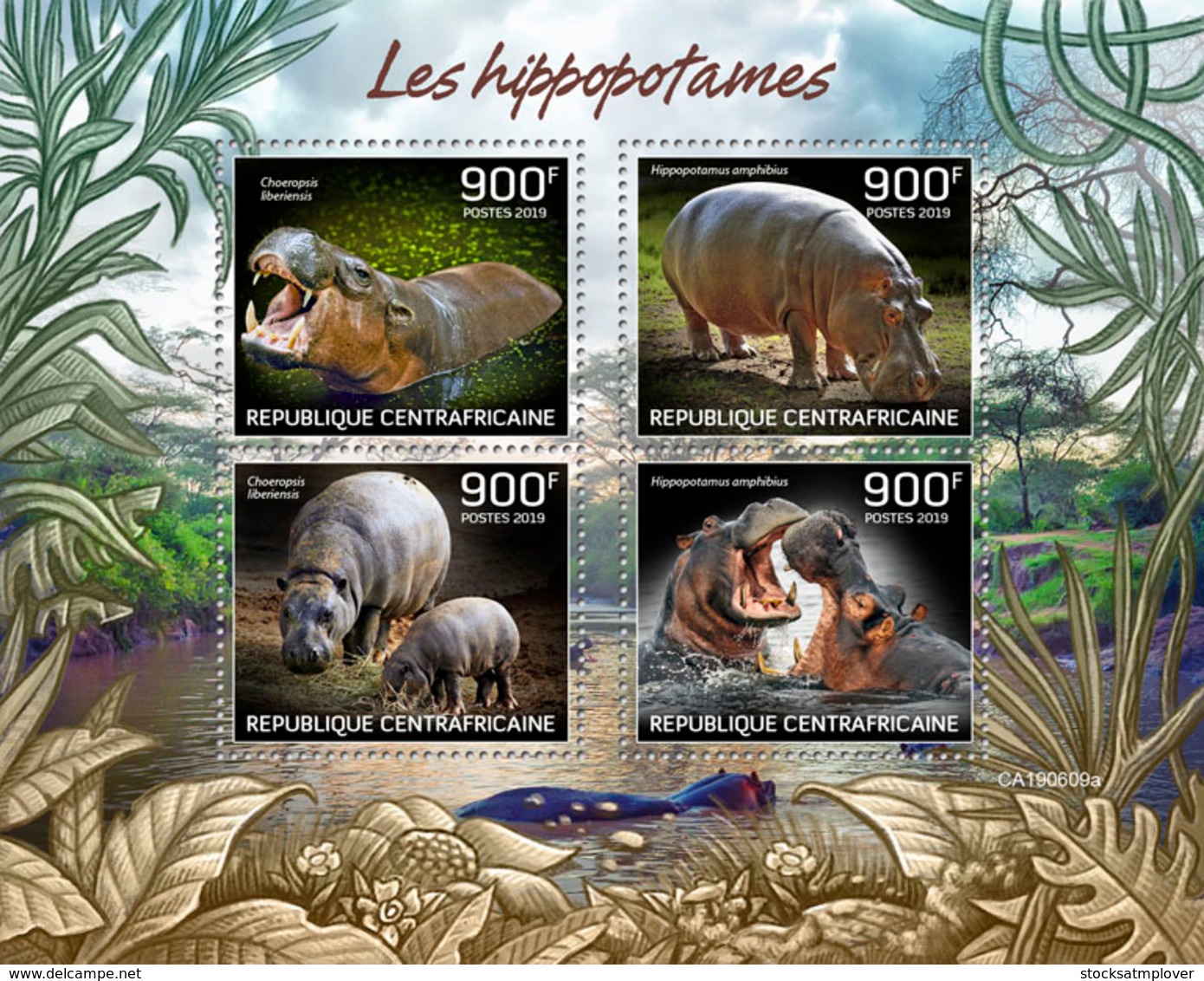 Central Africa  2019  Fauna Hippopotamus  S201909 - Central African Republic