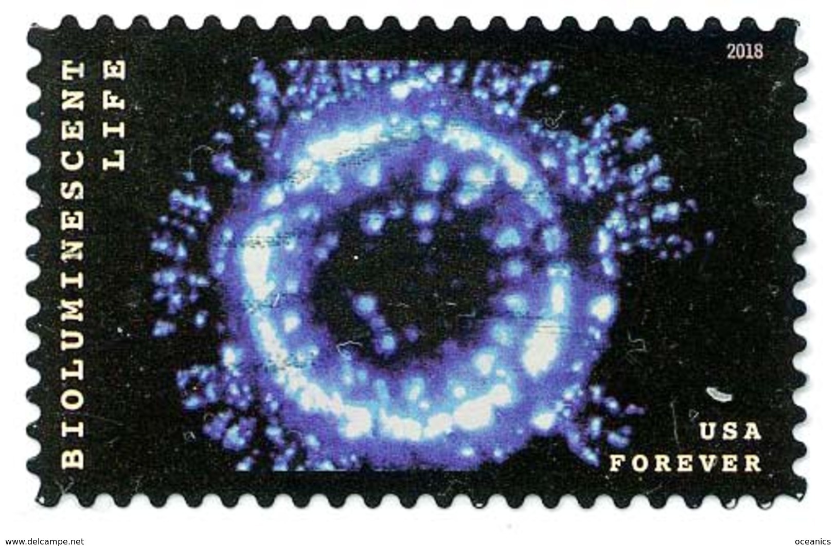 Etats-Unis / United States (Scott No.5265 - Bioluminescent Life) (o) TB / VF - Gebruikt