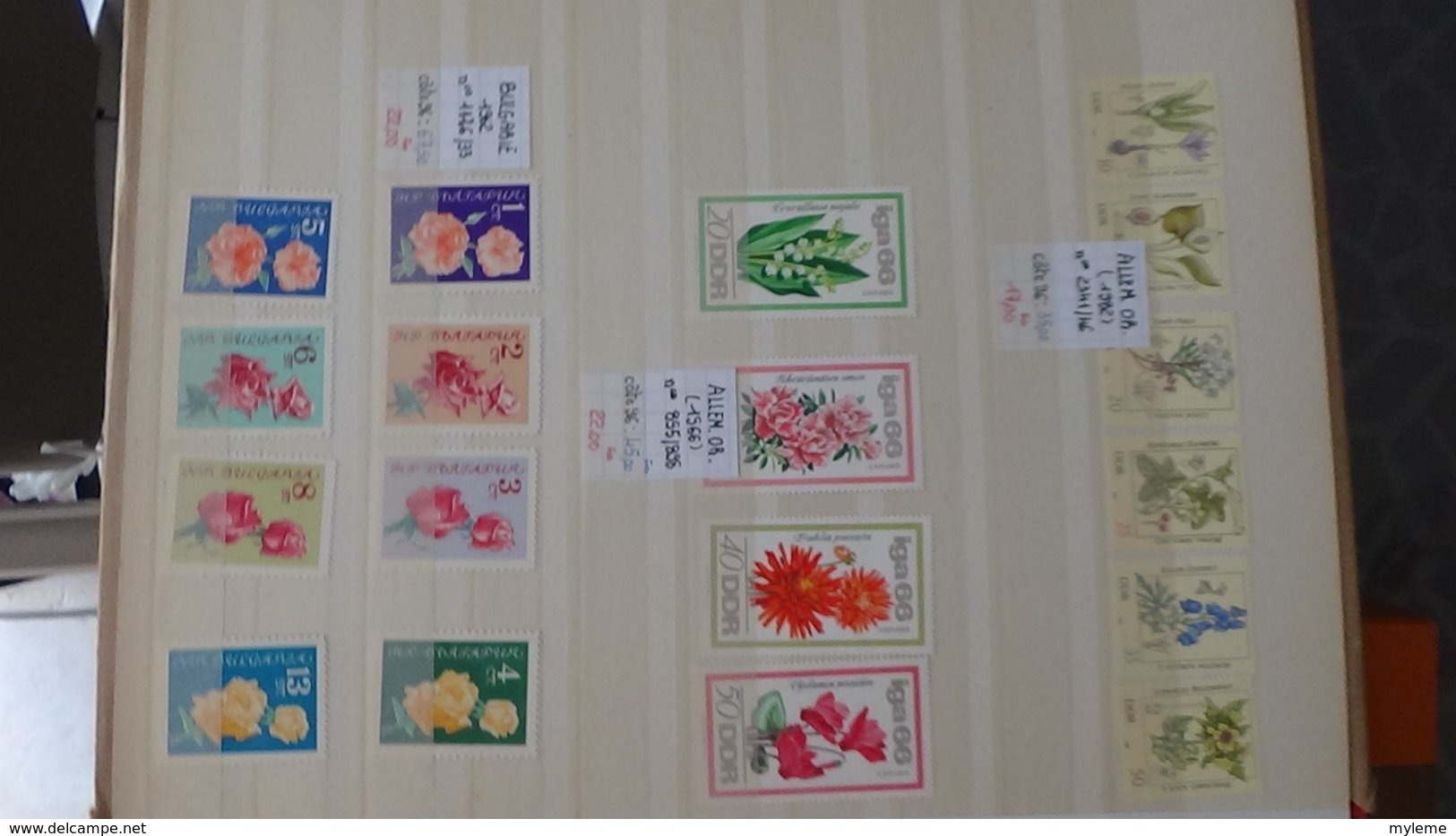 Belle Thématique En Timbres Et Blocs ** Sur Le Sport Et Les Fleurs. A Saisir !!! - Collections (with Albums)