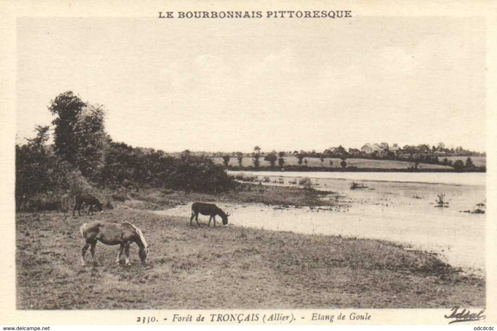 Foret De TRONCAIS ( Allier) Etang De Goule Chevaux Au Paturage RV - Otros & Sin Clasificación