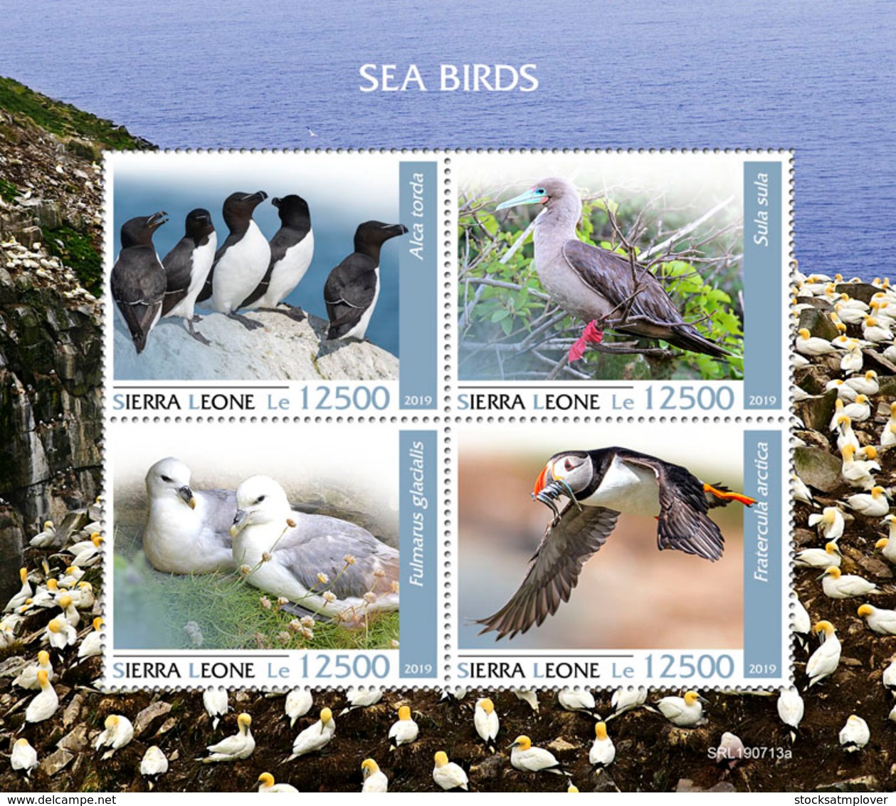 Sierra Leone  2019  Fauna Seabirds  S201909 - Sierra Leone (1961-...)