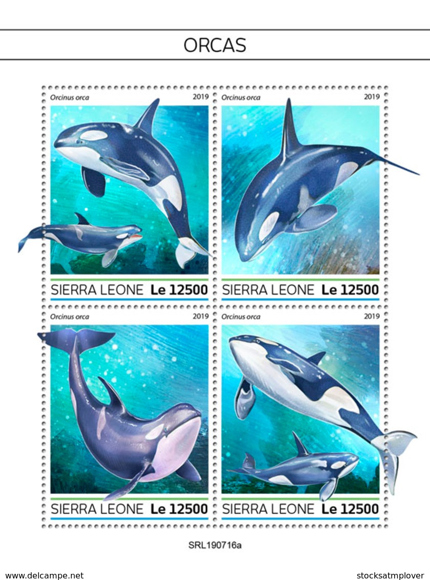 Sierra Leone  2019  Fauna Orcas Whale  S201909 - Sierra Leona (1961-...)