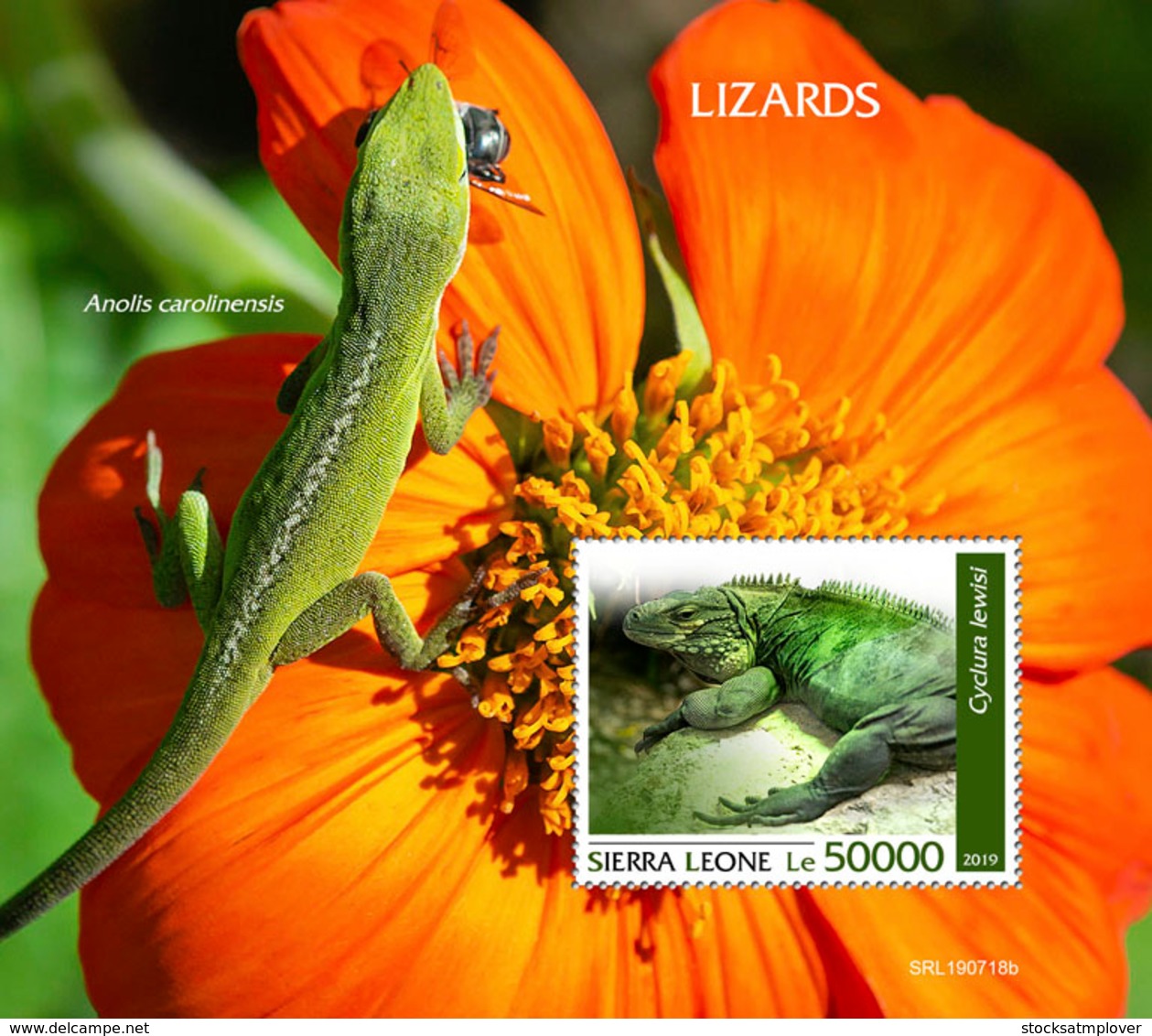 Sierra Leone  2019  Fauna  Lizards S201909 - Sierra Leone (1961-...)