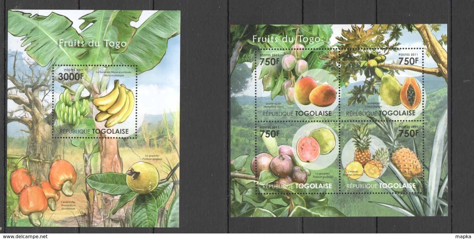 TG1005 2011 TOGO TOGOLAISE FLORA PLANTS NATURE FRUITS TOGO TOGOLAISE KB+BL MNH - Fruits