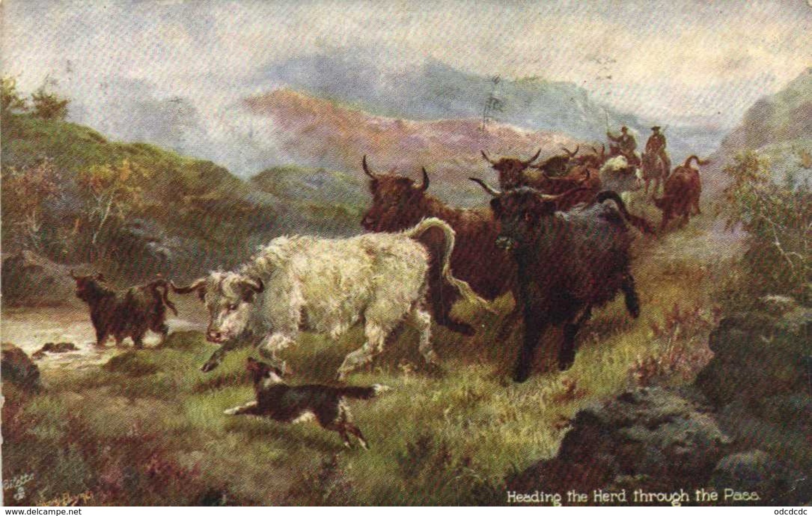 Illustrateur "IN THE SCOTTISH HIGHLANDS " Heading The Hard Through Thr Pass   RV TUCK's Tresor Et Postes 140 - Peintures & Tableaux