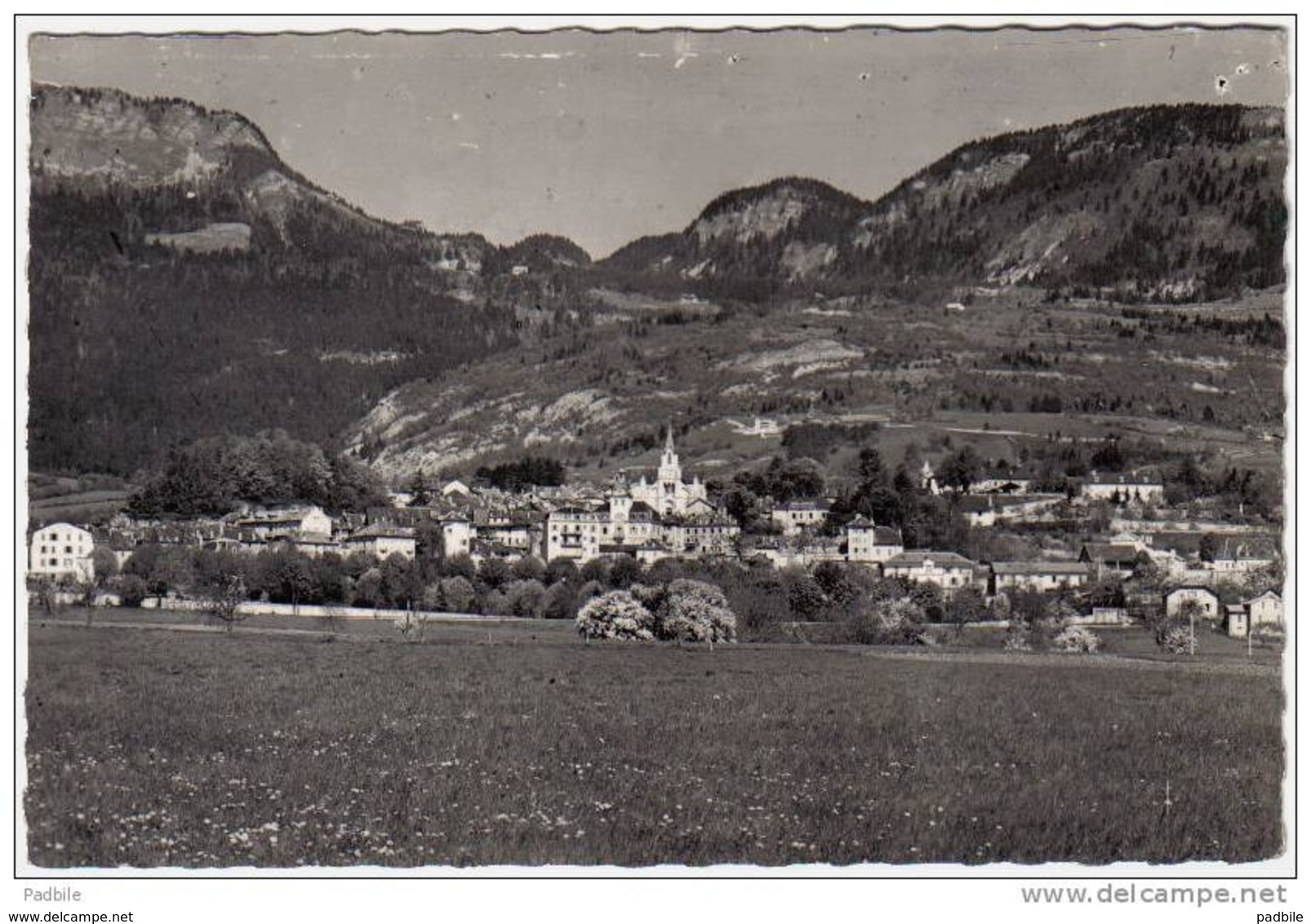 Carte Postale 01. Gex  Et La Faucille Trés Beau Plan - Gex