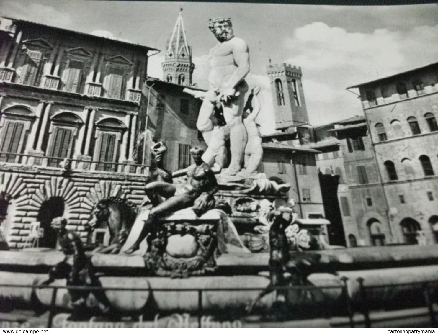 Conchiglia Shell  COQUILLES   CONCHAS  FONTANA DEL NETTUNO FIRENZE - Firenze