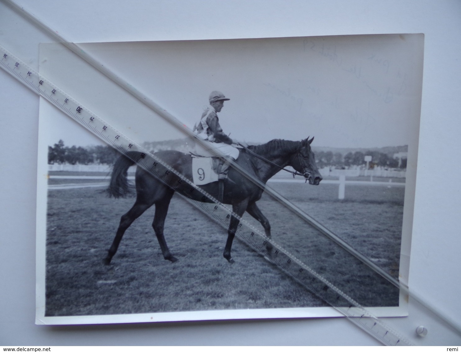 14 Hippodrome De DEAUVILLE Grand Prix 1959 Vainqueur Fils-de-Roi Monté Par PALMER Equitation PMU Hippisme Cheval - Lieux