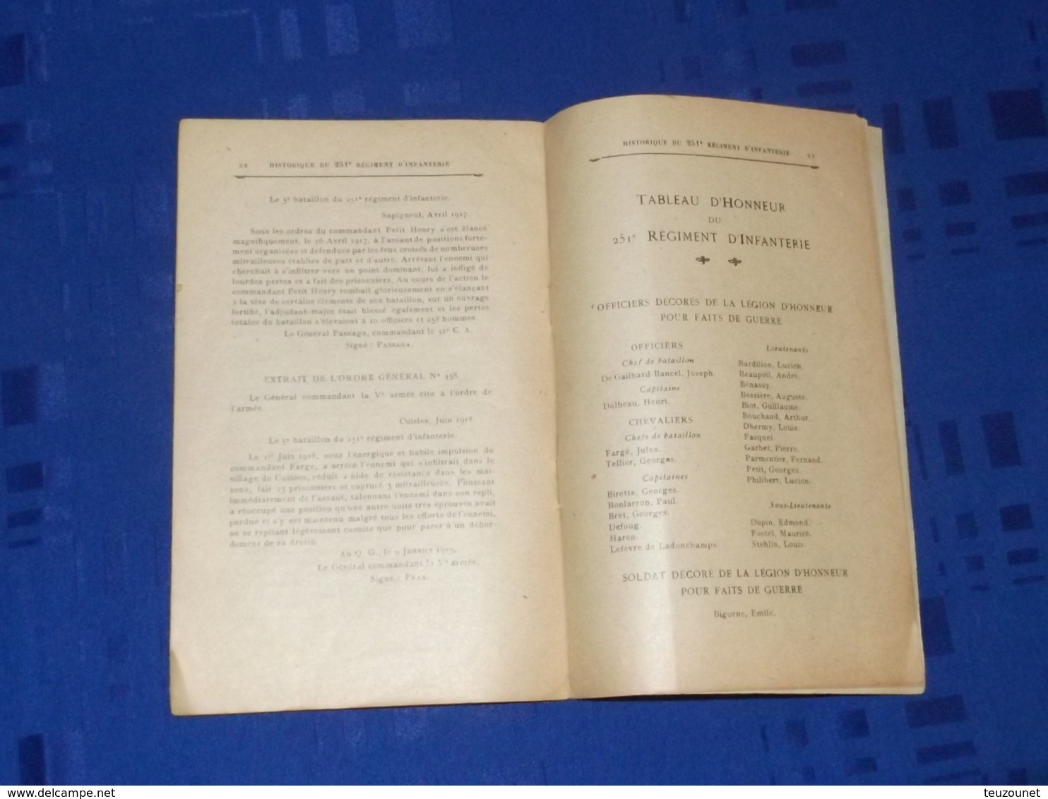 Plaquette Historique Du 251ème Régiment D'Infanterie - Guerre 1914 - 18 - War 1914-18